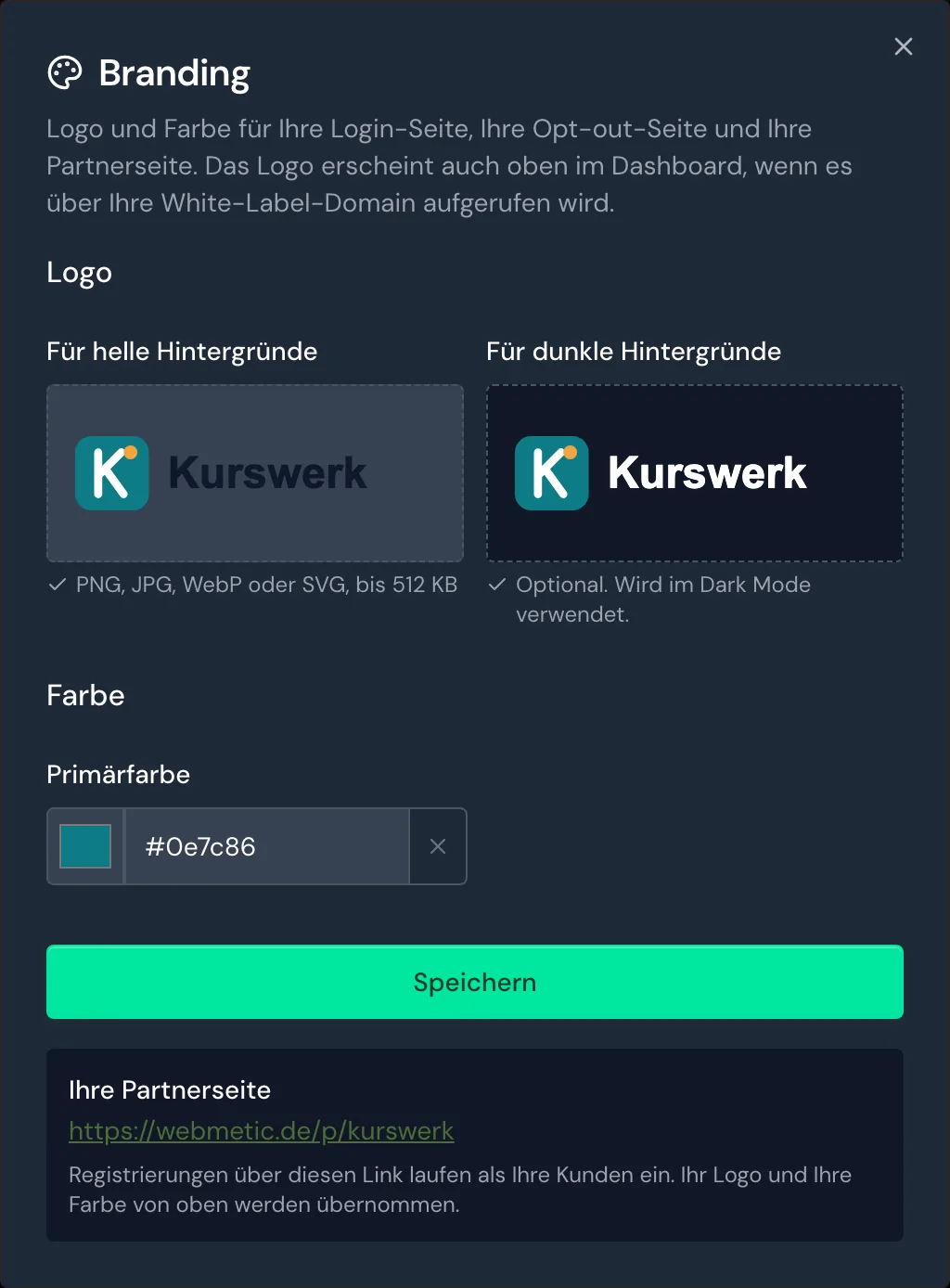 Das Fenster Branding mit beiden Logos und der Primärfarbe