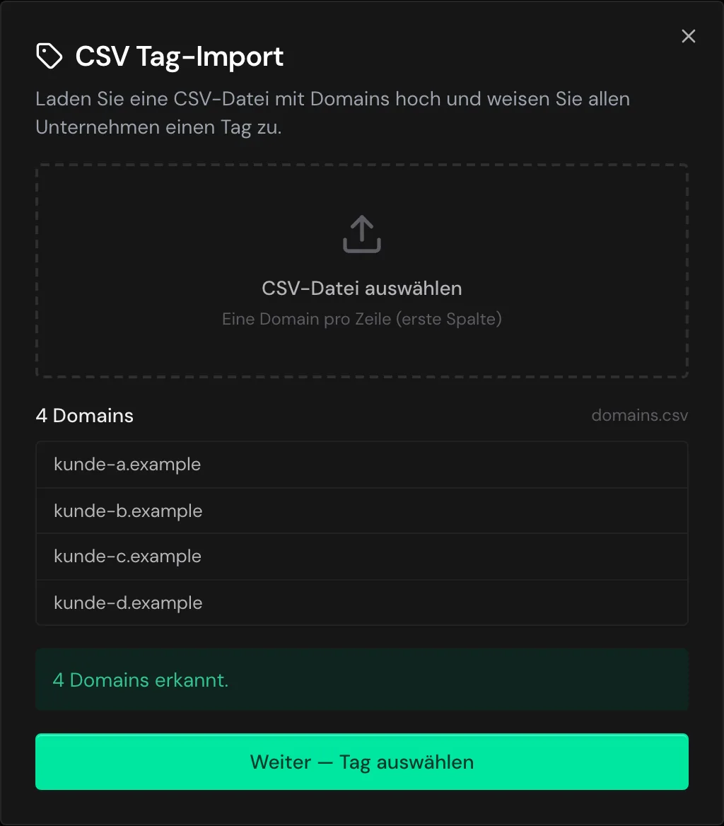 Der CSV Tag-Import mit vier erkannten Domains