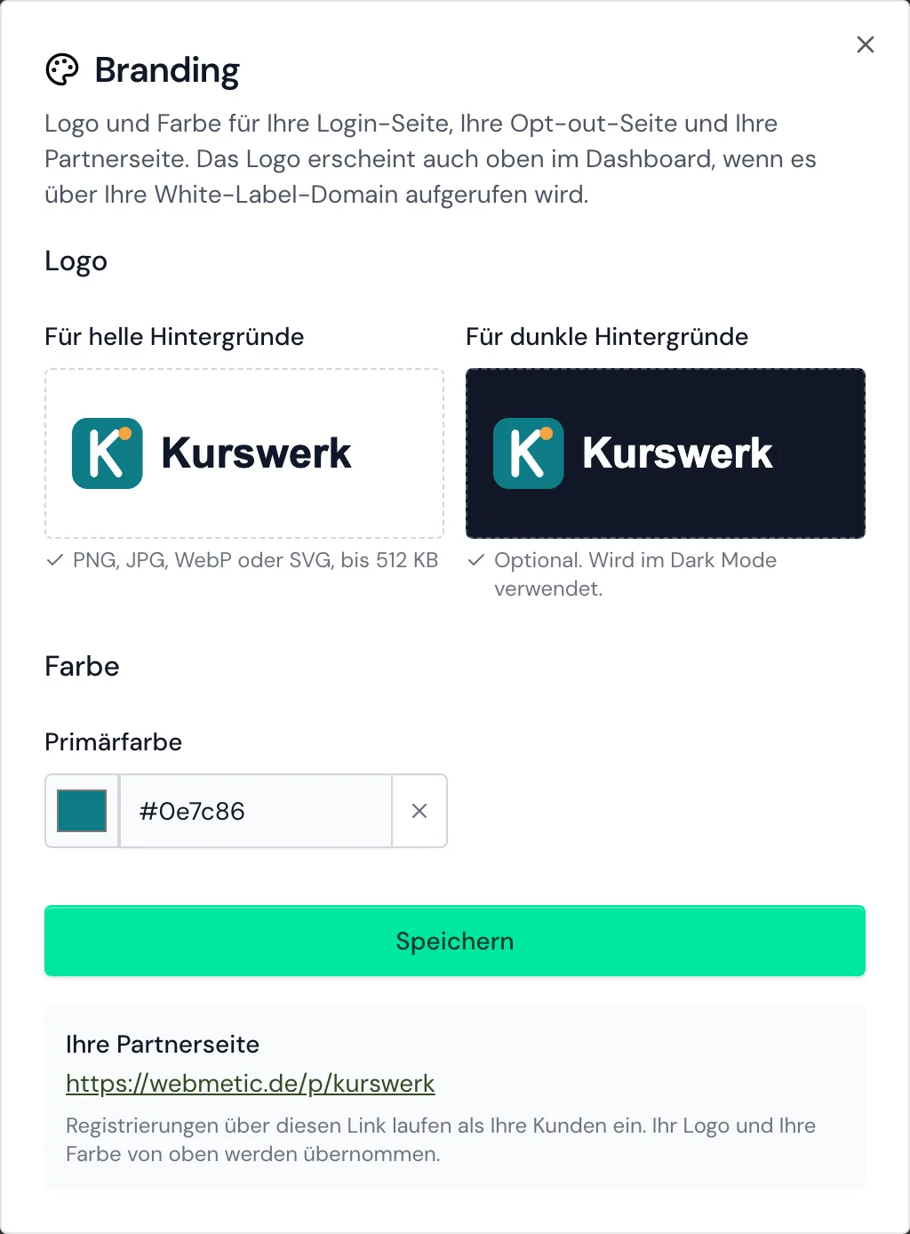 Das Fenster Branding mit beiden Logos und der Primärfarbe