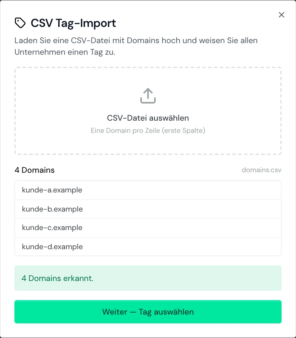 Der CSV Tag-Import mit vier erkannten Domains