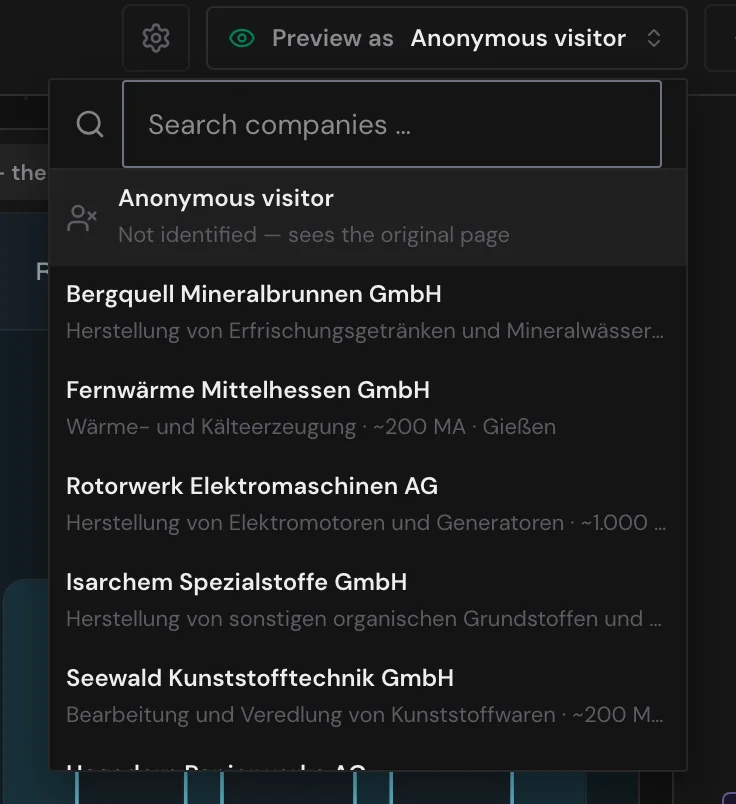 The open Preview as list with companies that visited the website