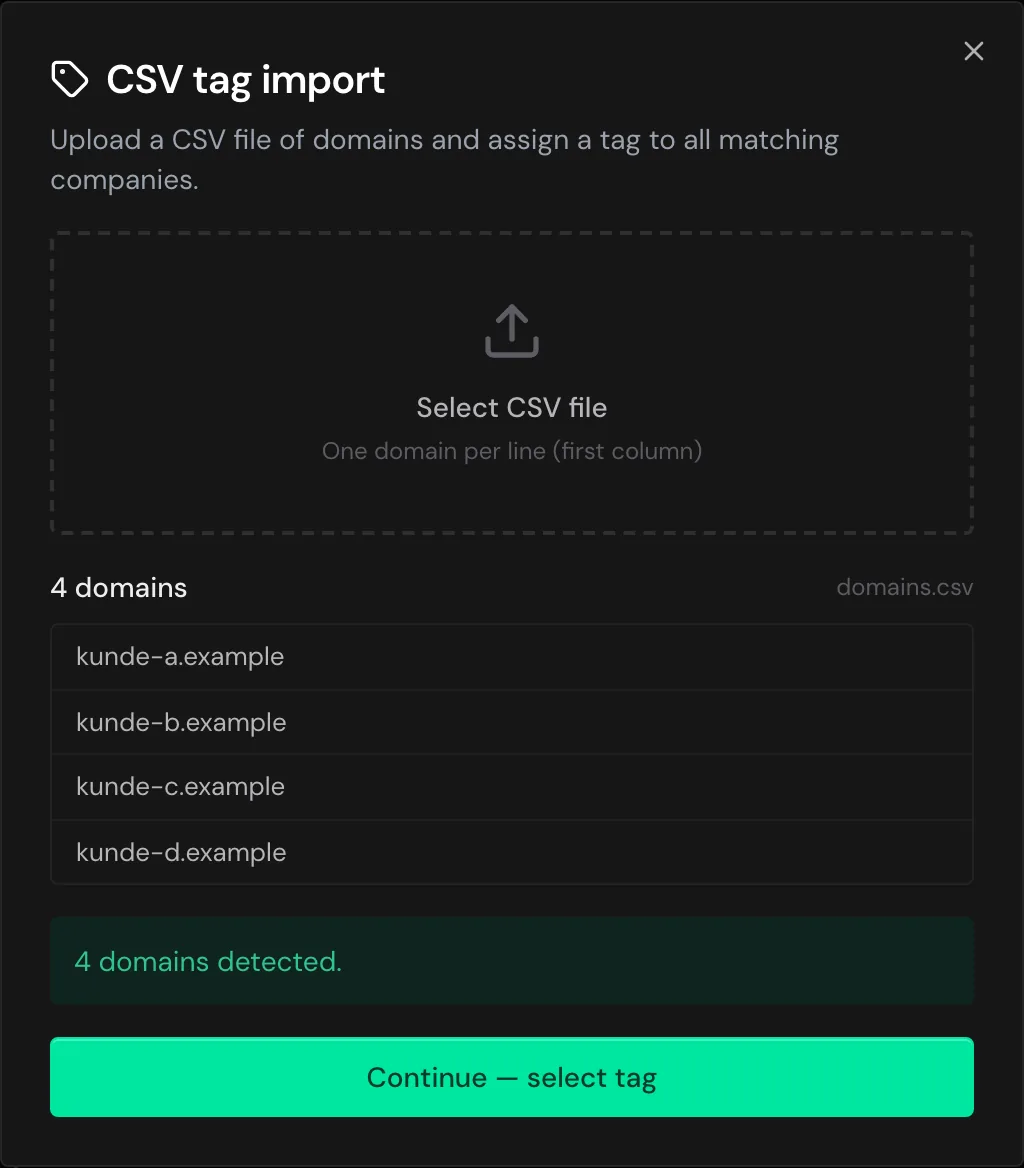 The CSV tag import with four detected domains