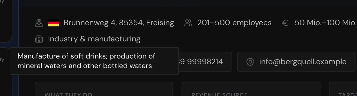 The industry line with the tooltip showing the official industry description
