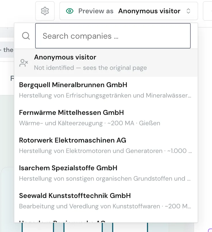 The open Preview as list with companies that visited the website